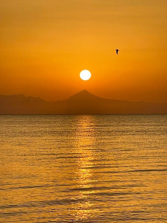 Rosaleda 1 Daire Denia Dış mekan fotoğraf